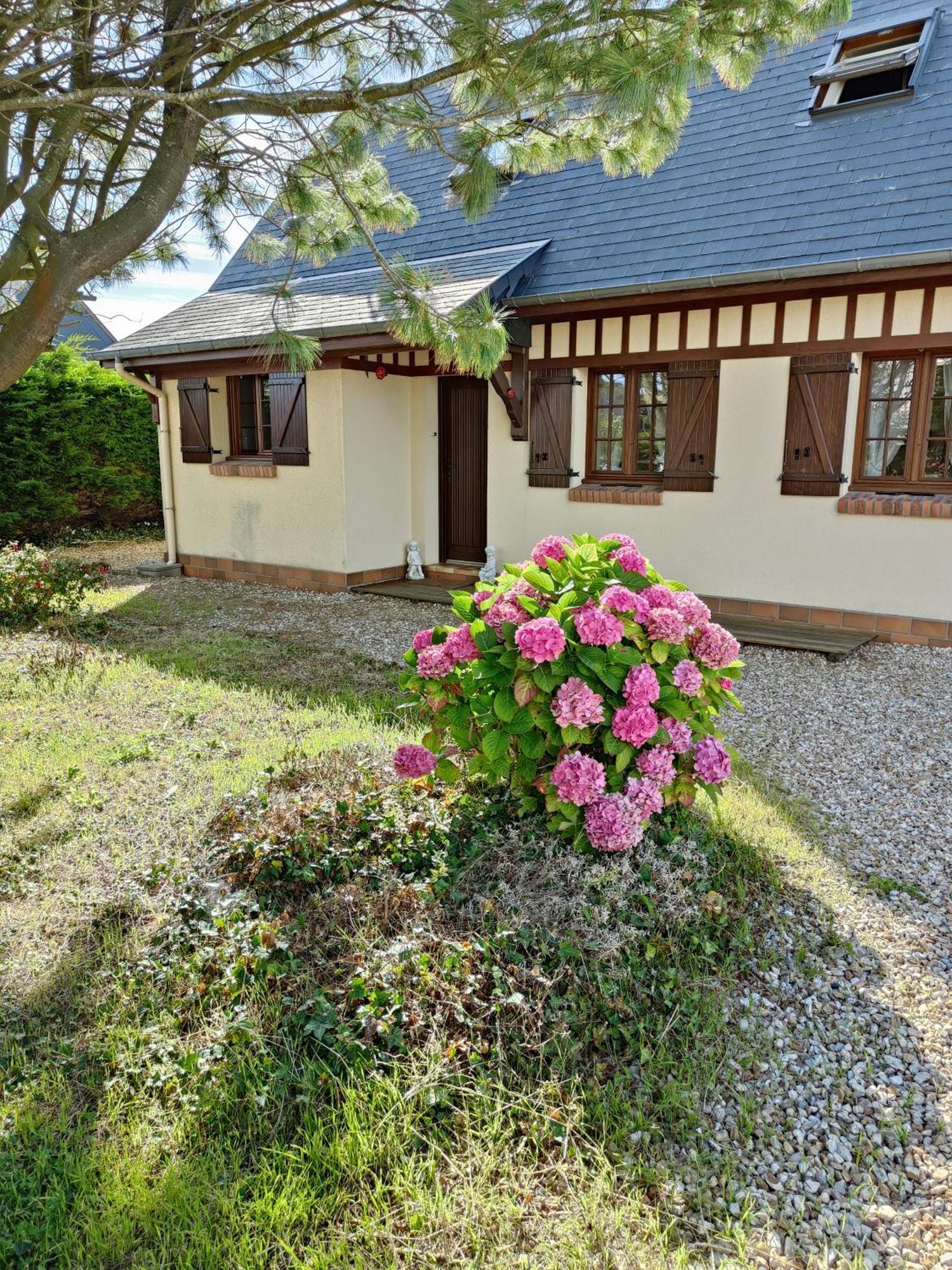 Le Relais Des Trois Cepages Villa Sassetot-le-Mauconduit Exterior photo